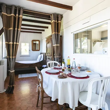 Chalet Cosy, Parking, Animaux Ok - 3 Pers. - Fr-1-828-21 Le Vigan (Lot)