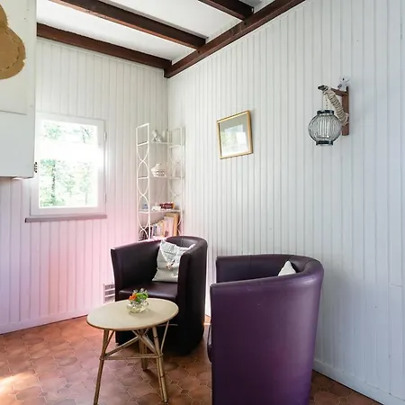 Chalet Cosy, Parking, Animaux Ok - 3 Pers. - Fr-1-828-21 *